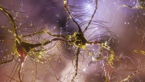 Brain Neuron and Connection, Neural Network Structure Illustration