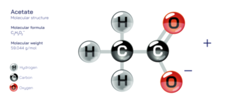 Acetate Ion — Chemical Structure and Molecular Composition Illustration