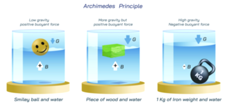 Archimedes Principle — Buoyancy Law Concept Vector Illustration
