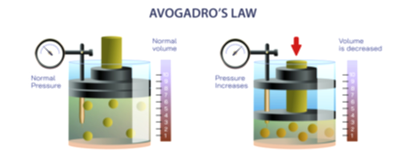 Avogadro’s Law — Gas Volume Relationship Vector Illustration