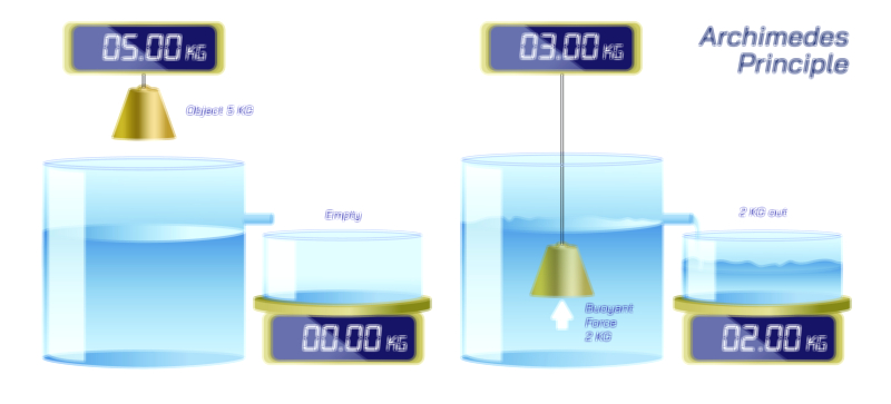 Archimedes Principle of Water Displacement — Buoyancy Concept Vector Illustration