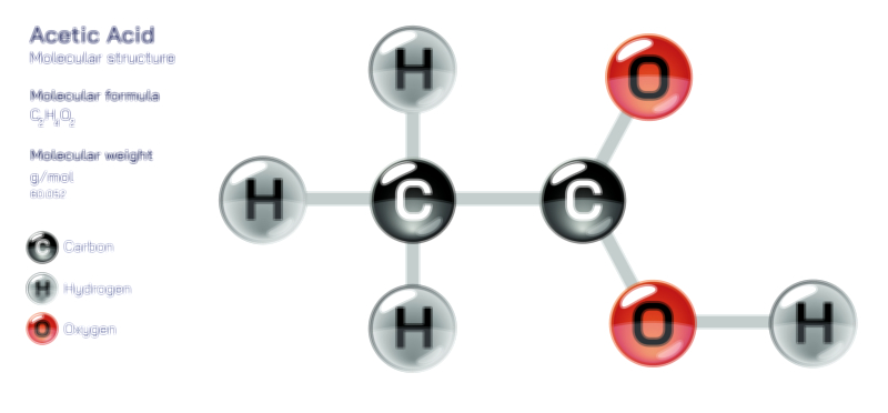 Acetic Acid — Organic Carboxylic Compound Vector Illustration