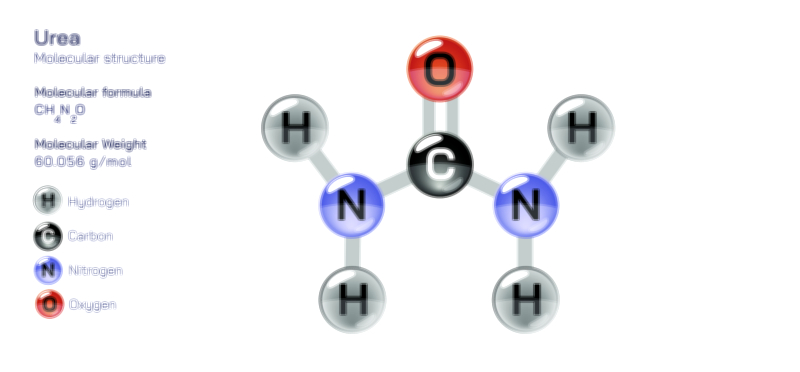 Urea — Organic Nitrogen Compound Vector Illustration
