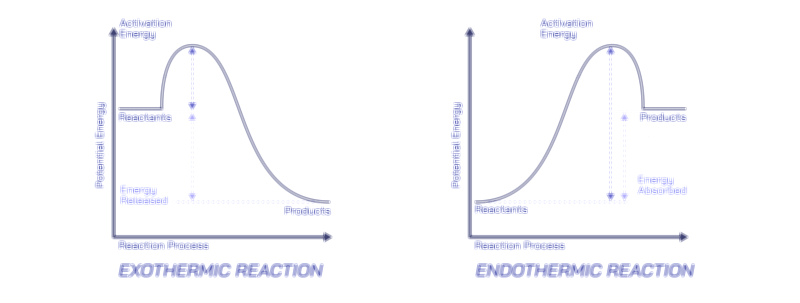 Exo vs Endo Reaction Vector Illustration | Exothermic and Endothermic Processes Explained in Chemistry