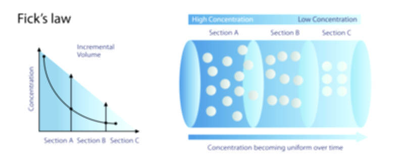 Fick’s Laws of Diffusion Vector Illustration | Molecular Transport and Diffusion Process Explained