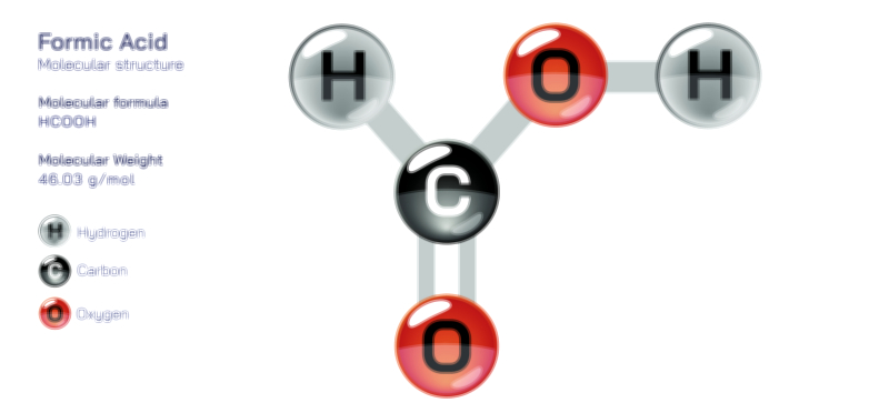 Formic Acid Chemical Structure Vector Illustration | Organic Compound and Molecular Diagram Explained