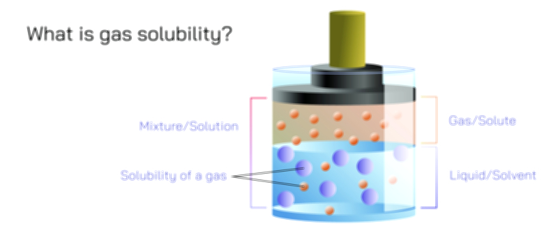 Gas Solubility Vector Illustration | Factors, Temperature Effects, and Henry’s Law Explained