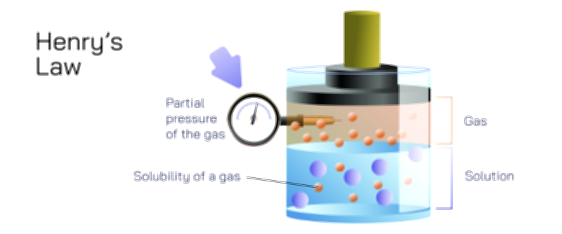 Henry’s Law Vector Illustration | Gas Solubility and Pressure Relationship Explained