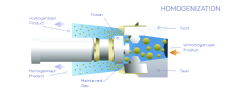 Homogenisation Vector Illustration | Process, Principles, and Applications in Science and Industry