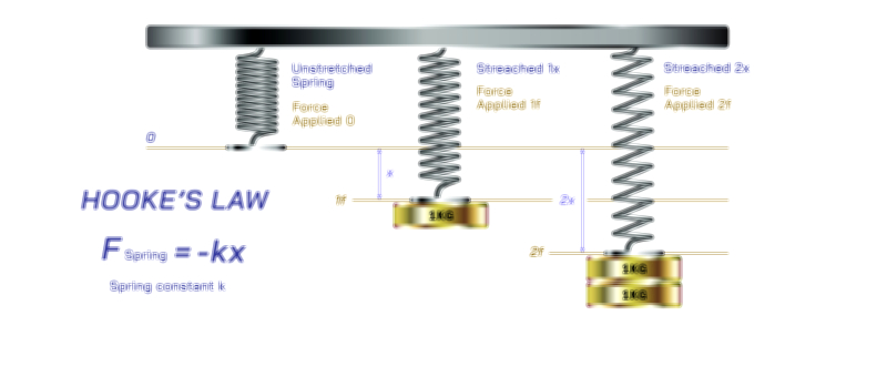Hooke’s Law Vector Illustration | Elasticity, Force, and Spring Deformation Explained