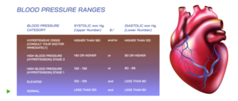 Blood Pressure Ranges vector illustration — Normal, low, and high blood pressure chart for medical and educational use