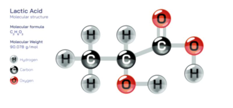 Lactic acid structure and function vector illustration
