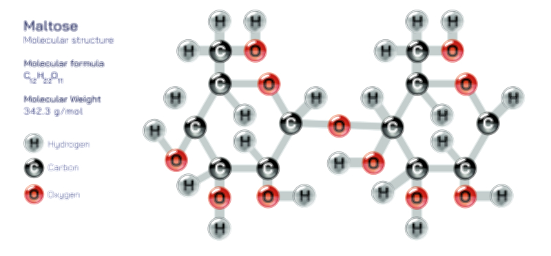 Maltose Molecular Structure and Composition Vector Illustration