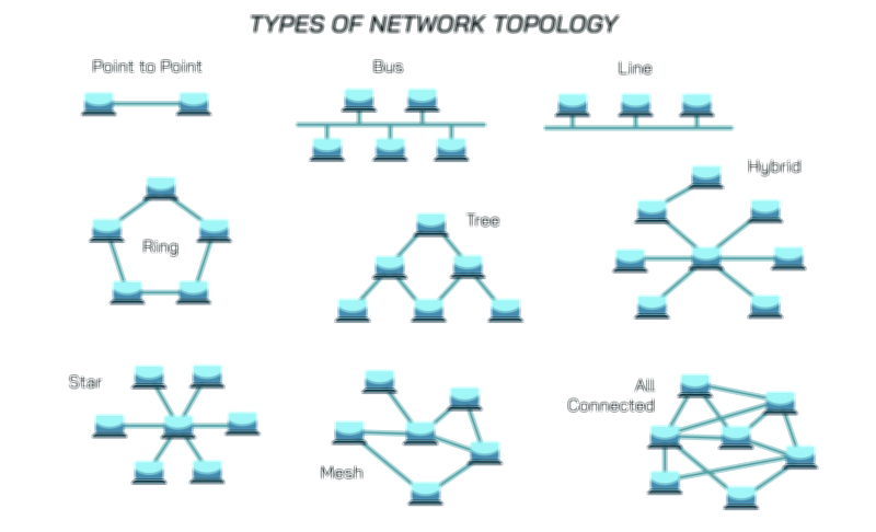 Network Topology Types and Structure Diagram Vector Illustration