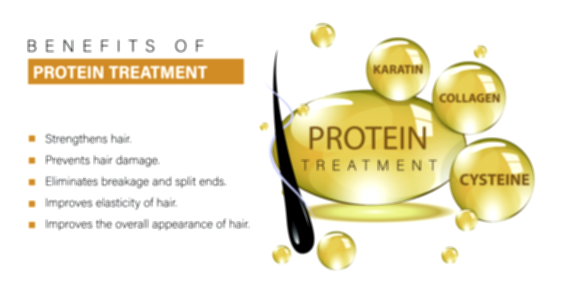 Protein Treatment of Hair Repair and Strengthening Vector Illustration