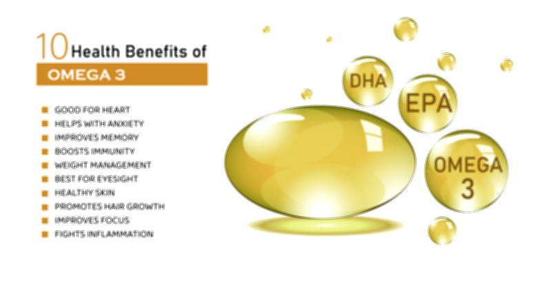 Omega Types and Benefits for Heart and Brain Health Vector Illustration