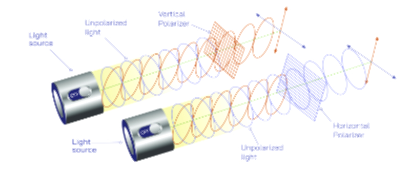Polarized Light Concept and Wave Orientation Physics Vector Illustration