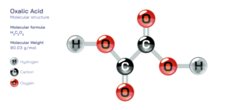 Oxalic Acid chemical compound molecular structure vector illustration