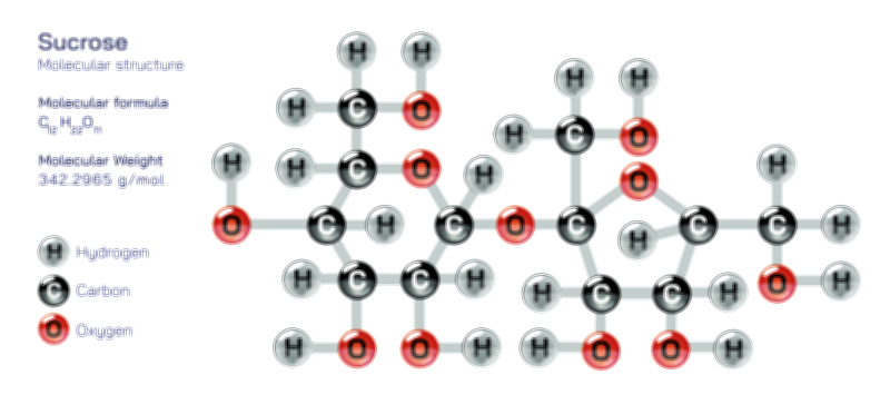 Sucrose molecular structure chemistry educational vector illustration for scientific learning and nutrition study
