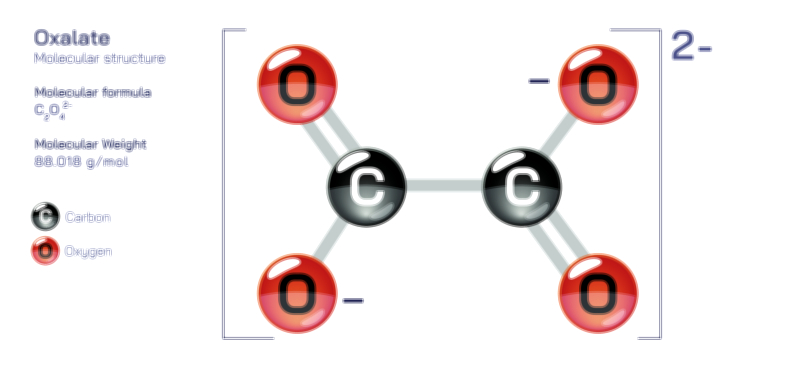 Oxalate molecular structure chemistry educational vector illustration for scientific learning and research