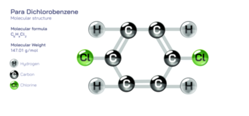 Para Dichlorobenzene molecular structure chemistry educational vector illustration for scientific learning and research