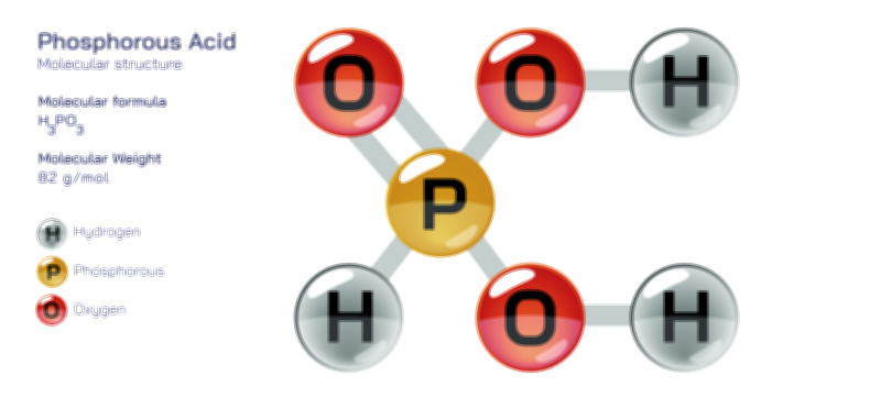 Phosphorous Acid Structure, Formula, and Applications | Chemical Compound Vector Illustration