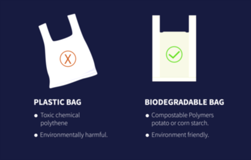 Plastic vs biodegradable Materials Comparison | Environmental Awareness Vector Illustration