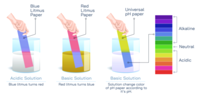 Litmus paper and color change test vector illustration showing acid and base identification through indicator reaction