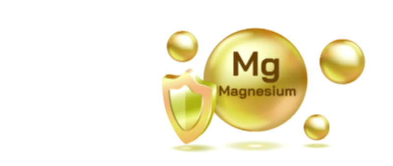 Magnesium vector illustration showing chemical structure, atomic model, and biological importance in human health and nutrition