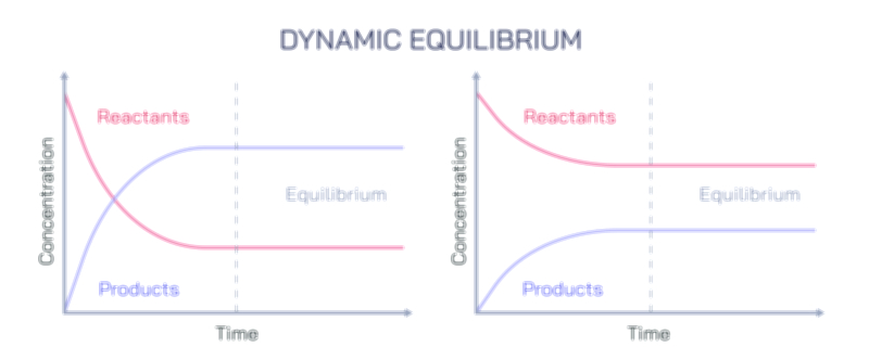 Dynamic equilibrium vector illustration showing forward and reverse reaction balance in chemical processes and reaction rate stability