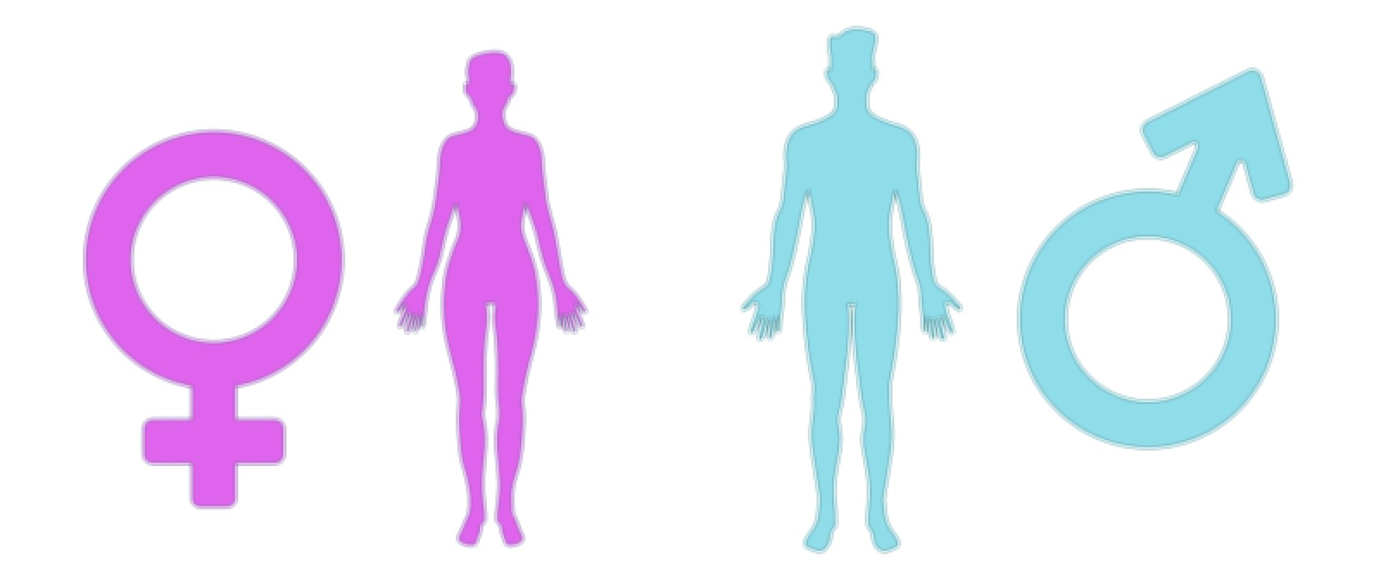 Male and female symbol vector illustration showing gender icons, biological sex representation, and identity concept for education and design