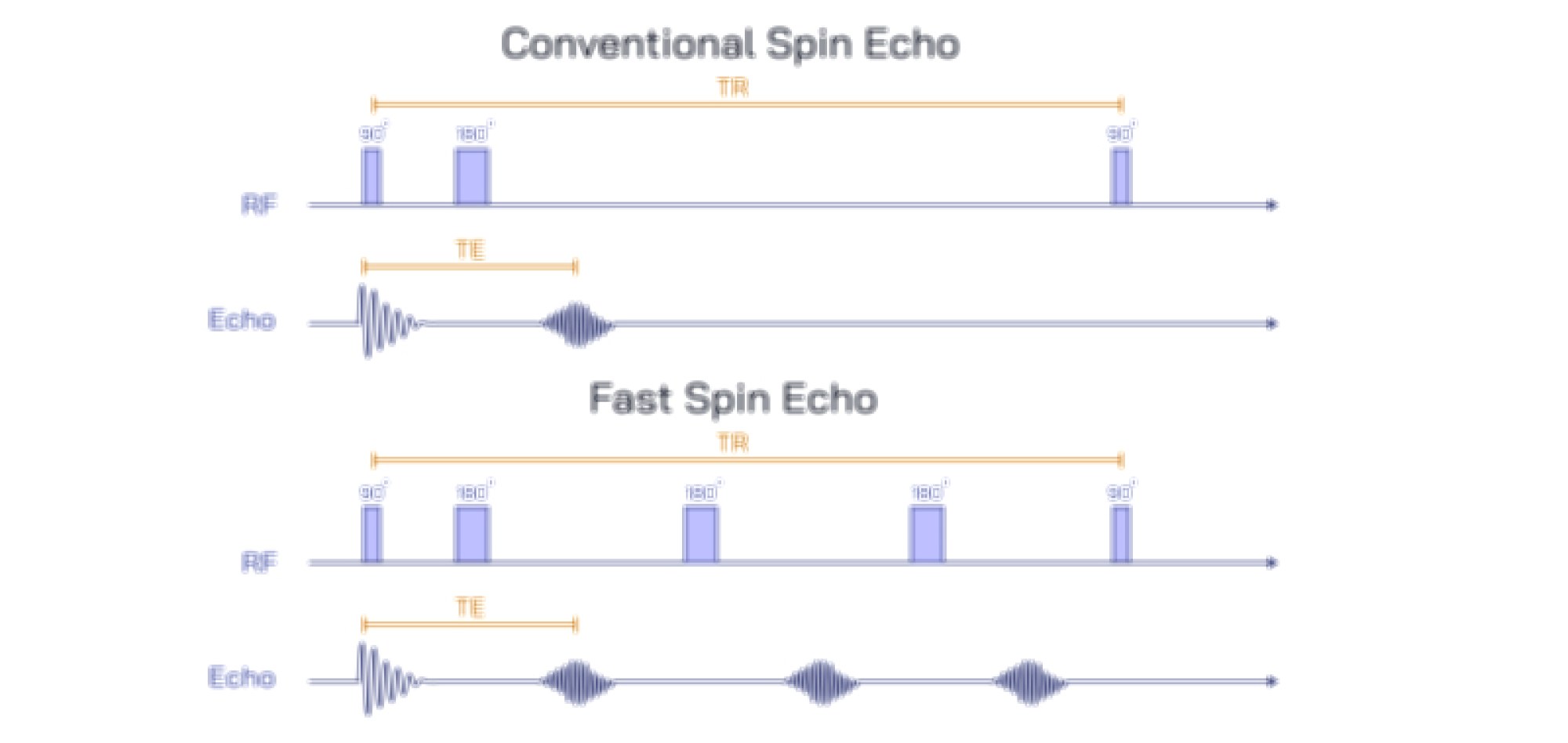 Conventional Spin Echo vs Fast Spin Echo MRI sequence comparison showing image quality and scan efficiency differences