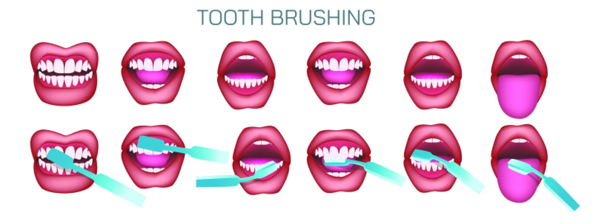Tooth Brushing Technique — Proper Steps for Effective Oral Hygiene