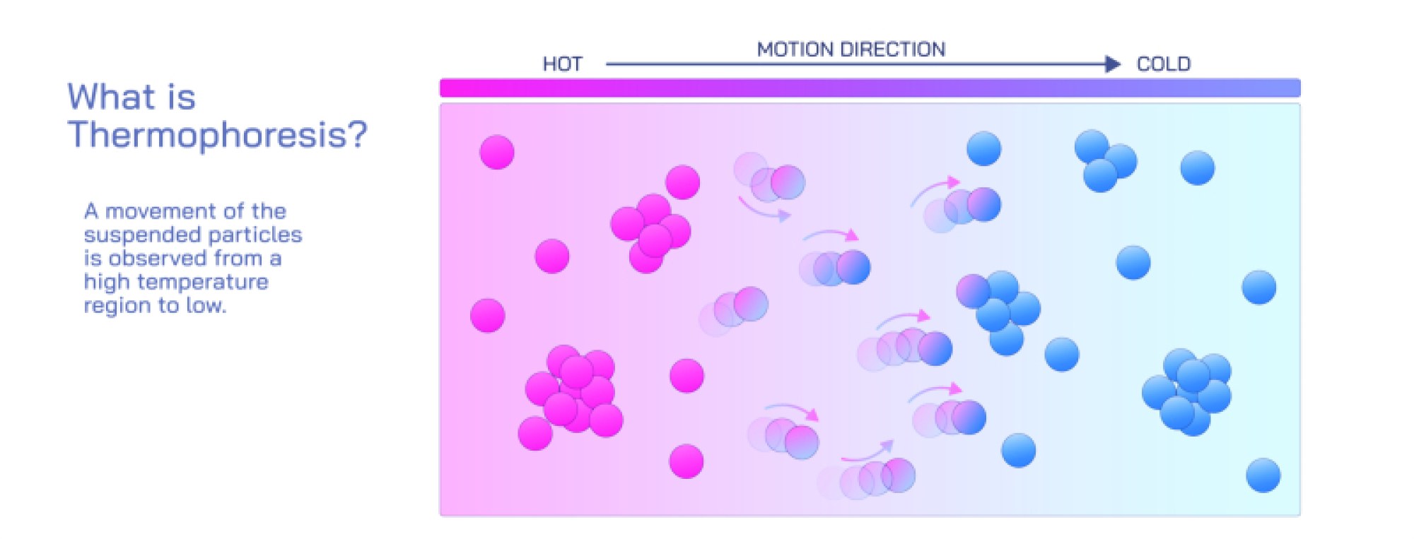 Thermophoresis Explained: Particle Motion Under Temperature Gradients in Fluids and Gases