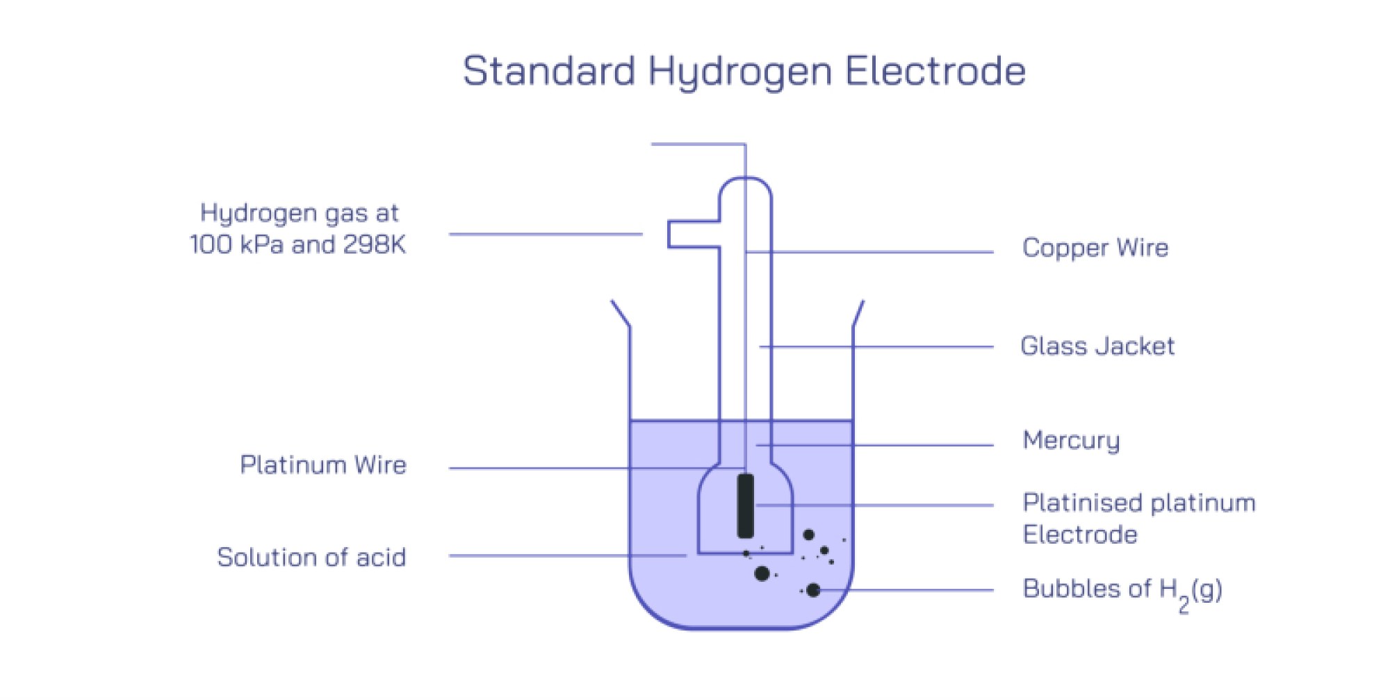 Standard Hydrogen Electrode — Principles, Construction, and Electrochemical Use