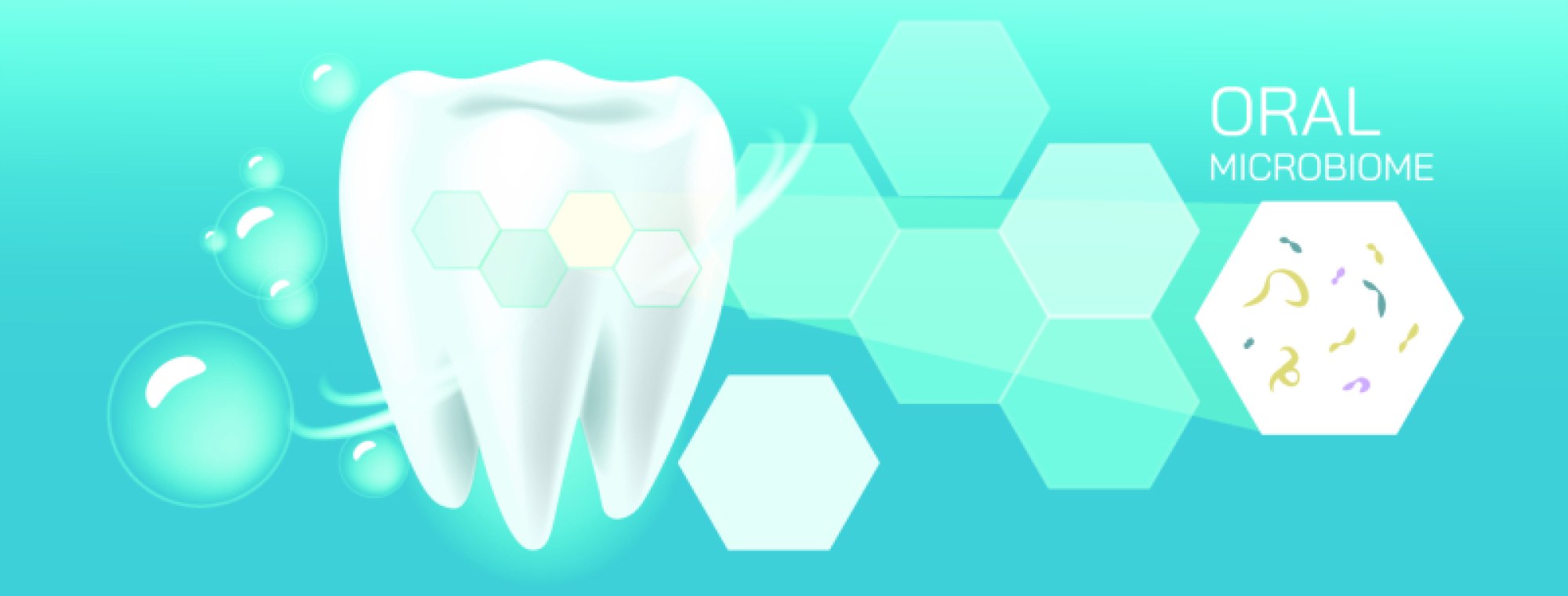 Oral Microbiome dental template — Composition, Functions, and Oral Health Importance