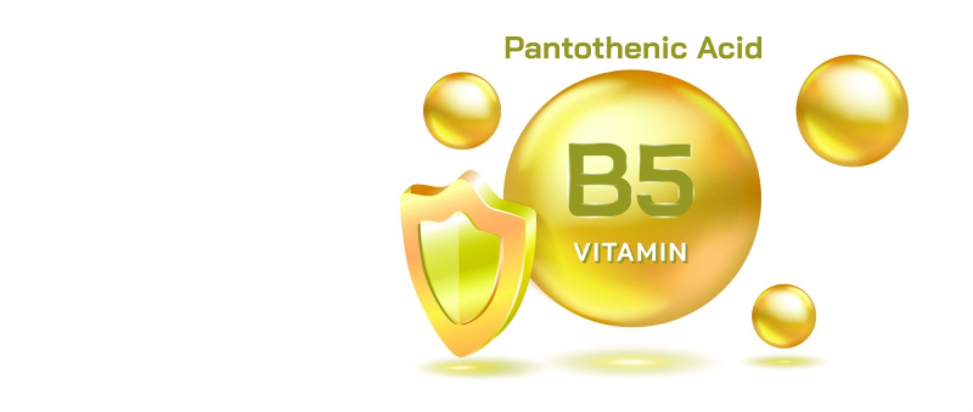 Vitamin B5 (Pantothenic Acid) — Benefits, Sources, and Functions in the Body