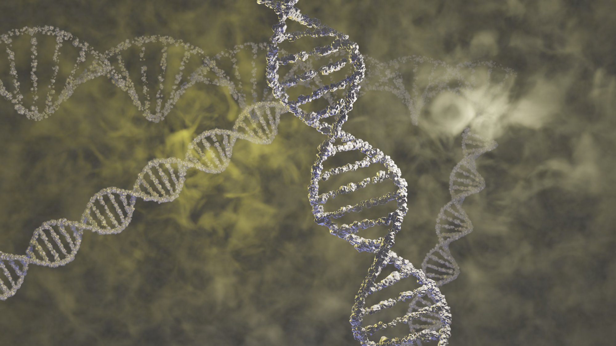 High Detail 3D Rendered DNA Deoxyribonucleic Acid Helix Illustration for Scientific Use