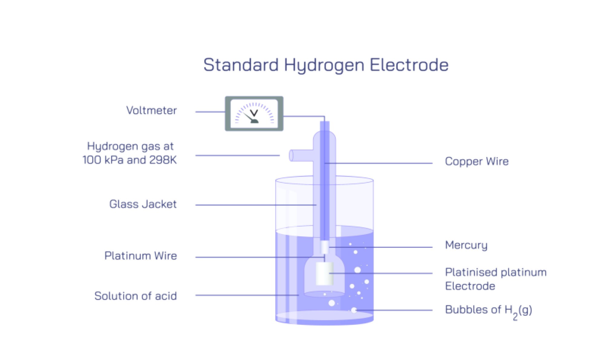 Standard Hydrogen Electrode — Principle, Construction, and Electrochemical Applications