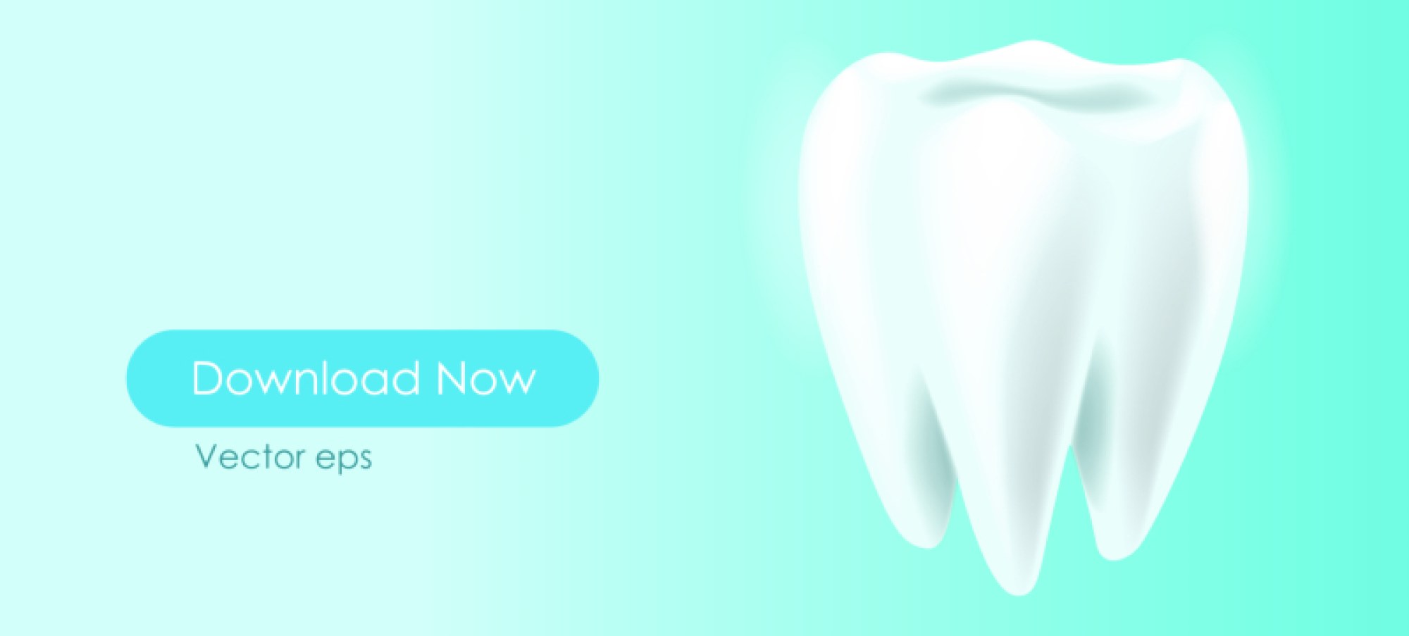 Comprehensive Dental Care Teeth Vector Template: Editable Design for Oral Health, Dentistry Projects, and Educational Graphics