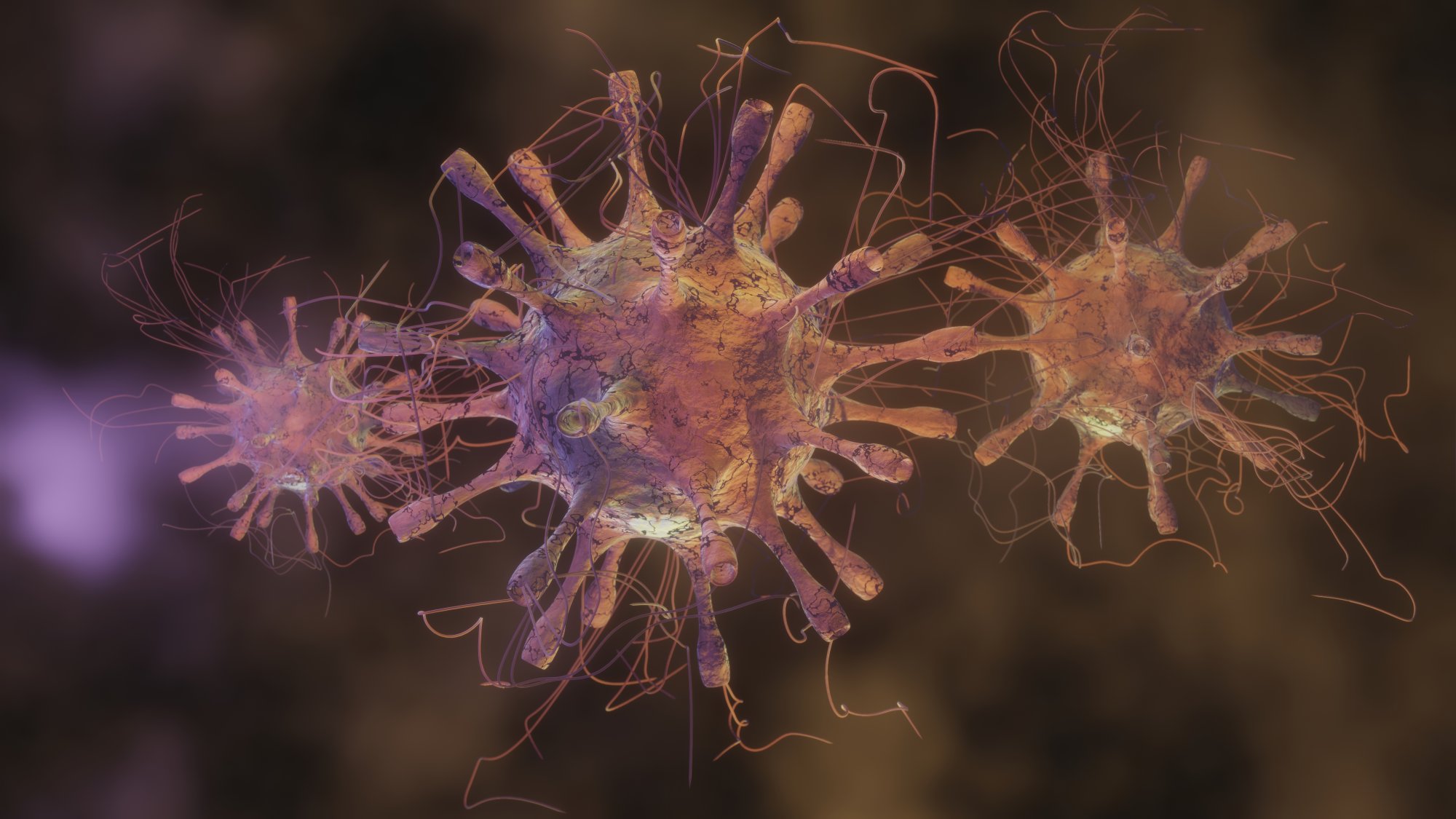 3D Rendered Visualization of How Viruses Infect Host Cells by Delivering Genetic Material and Hijacking Cellular Machinery for Replication
