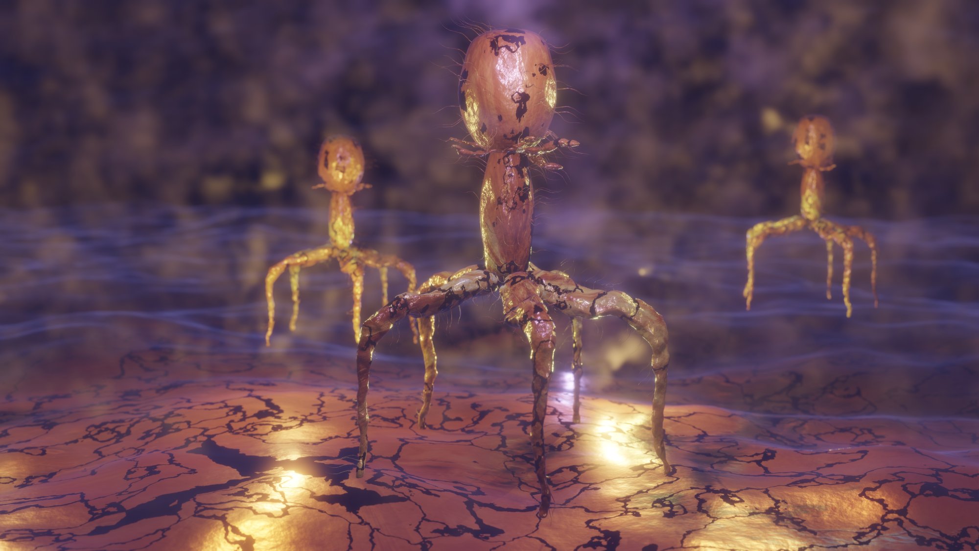 Structure and Biological Role of T Even Bacteriophage Virus in Microbial Interaction and Cellular Targeting