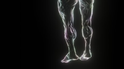 3D Insight Into Leg Sensation and Cramp Response Involving Muscle Signals and Nervous Pathways