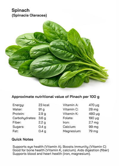 Spinach Nutrition, Health Benefits, Culinary Uses, and Global Popularity