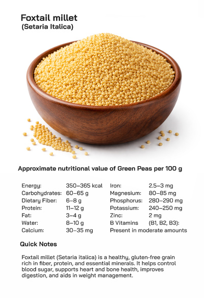 Foxtail Millet or Setaria italica : Nutritional Health Benefits, Uses, and Global Consumption Popularity