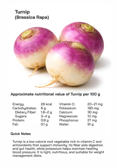 Turnip or Brassica Rapa Nutritional Health Benefits, Culinary Uses, and Global Consumption Popularity