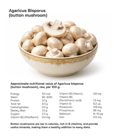 Agaricus bisporus Button Mushroom: Characteristics, Taste, Nutritional Health Benefits, and Global Popularity