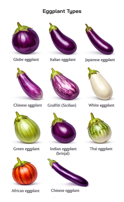 Eggplant Types Explained: Global Varieties, Shapes, Colors, and Culinary Uses