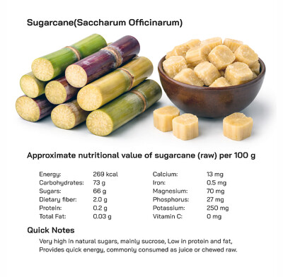 Sugarcane Nutritional Value Explained: Health Benefits, Uses, and Global Consumption Popularity