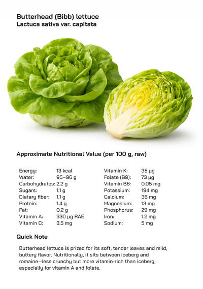 Butterhead (Bibb) Lettuce (Lactuca sativa var. capitata): Health Benefits, Uses, and Global Popularity